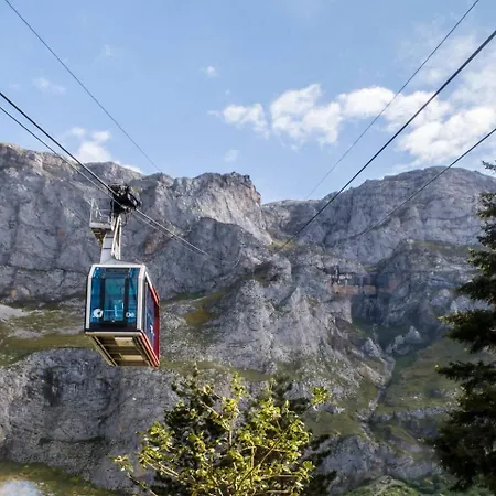 El Mirador De G-10235