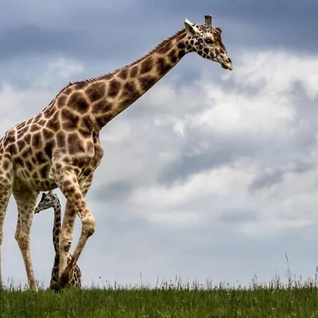 בית נופש El Mirador De G-10235 *