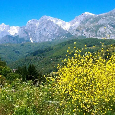 El Mirador De G-10235