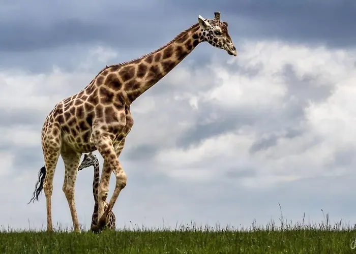 Ferienhaus El Mirador De G-10235 *