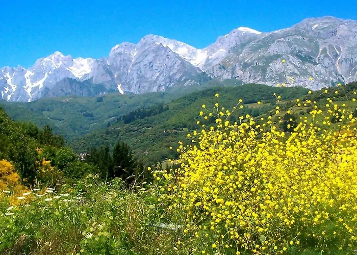 El Mirador De G-10235